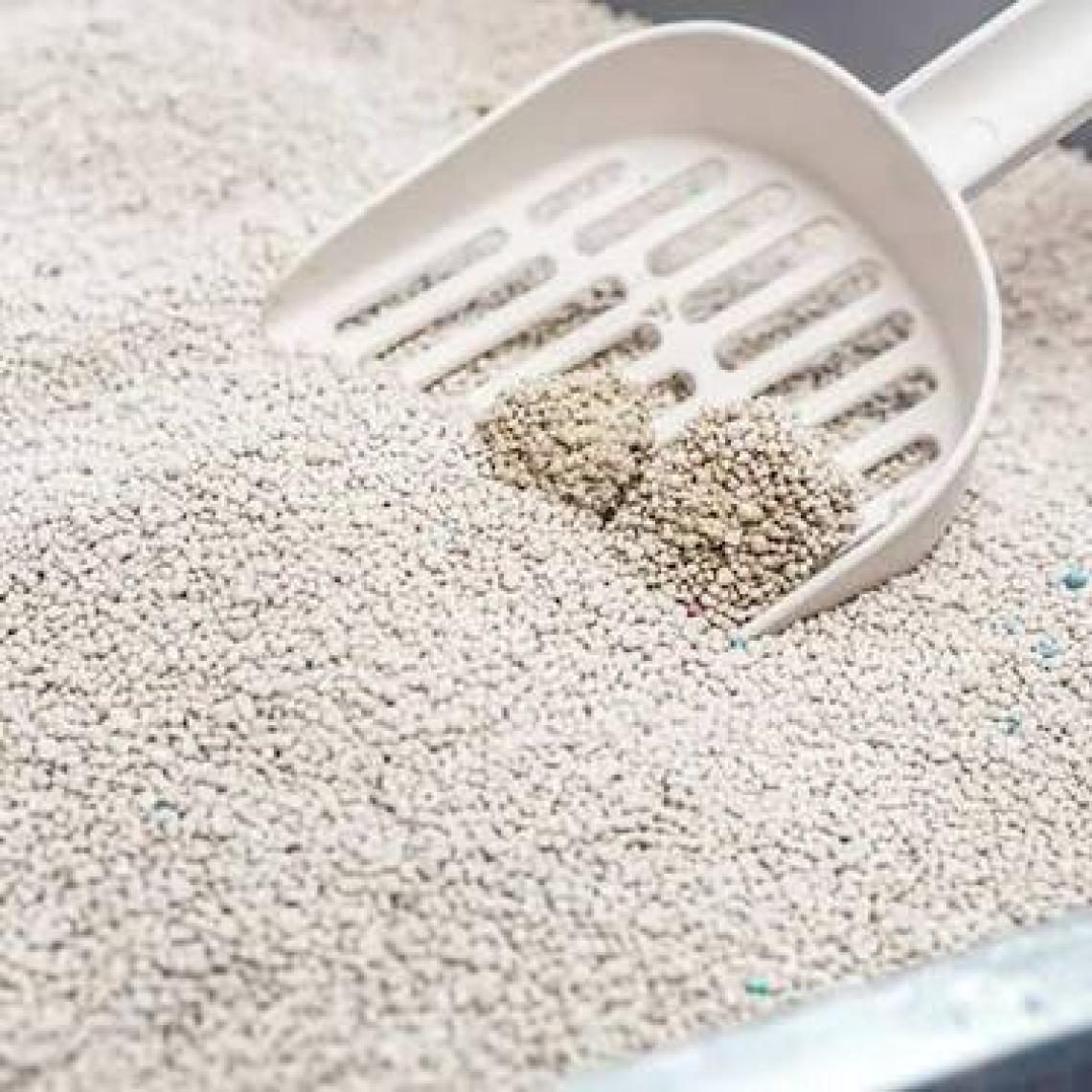 Perlinette Yetişkin ve Hassas Kediler İçin Kristal Kum 6kg