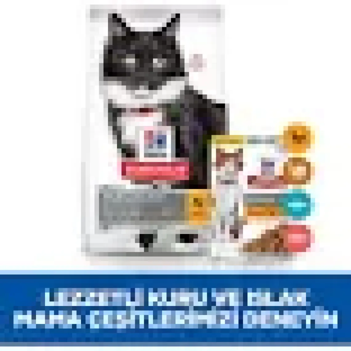 Hill's Mature Sterilised Tavuklu Kısırlaştırılmış Yaşlı Kedi Maması 1.5 kg
