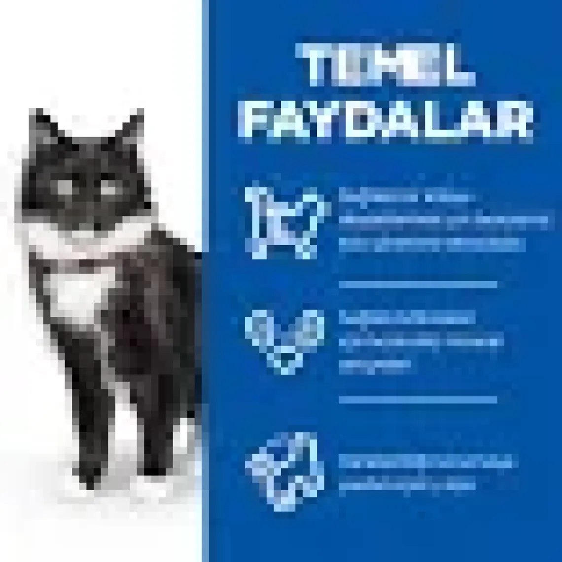 Hill's Mature Sterilised Tavuklu Kısırlaştırılmış Yaşlı Kedi Maması 1.5 kg