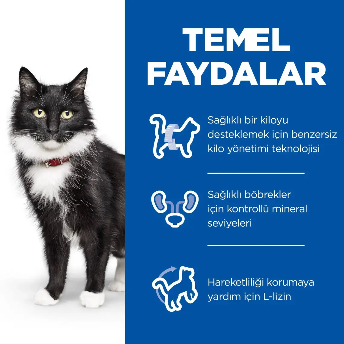 Hill's Mature Sterilised Tavuklu Kısırlaştırılmış Yaşlı Kedi Maması 1.5 kg
