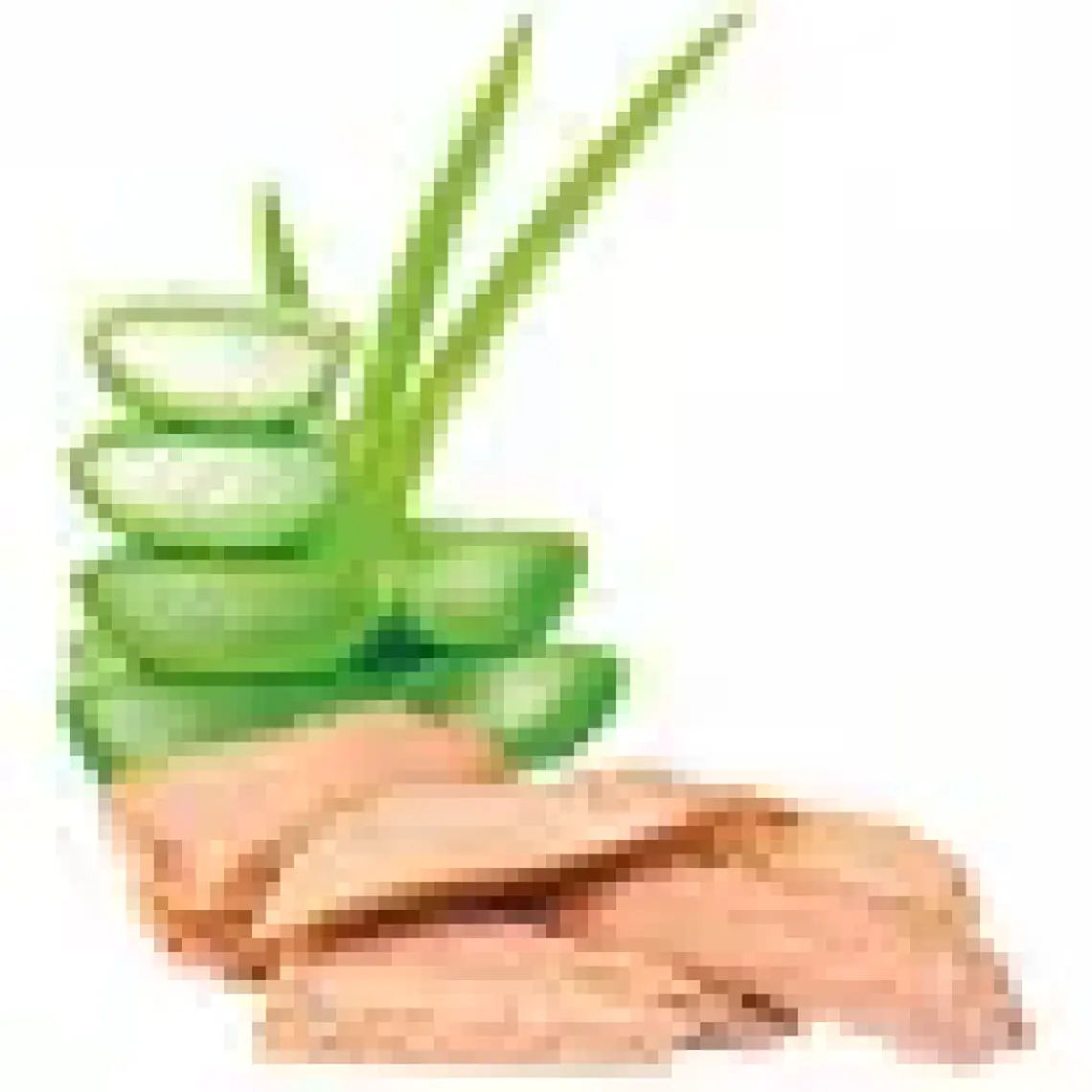 Natura Pet Yavru Kediler İçin Ton Balığı ve Aloe Vera Mix 70 gr