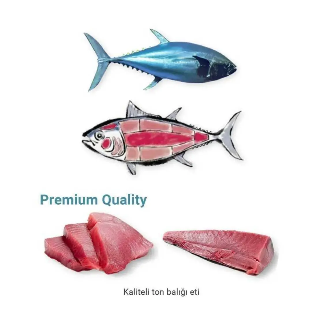 Me-O Pouch Jöle İçinde Ton Balıklı Sardalyalı Yavru Kedi Konservesi 80 Gr