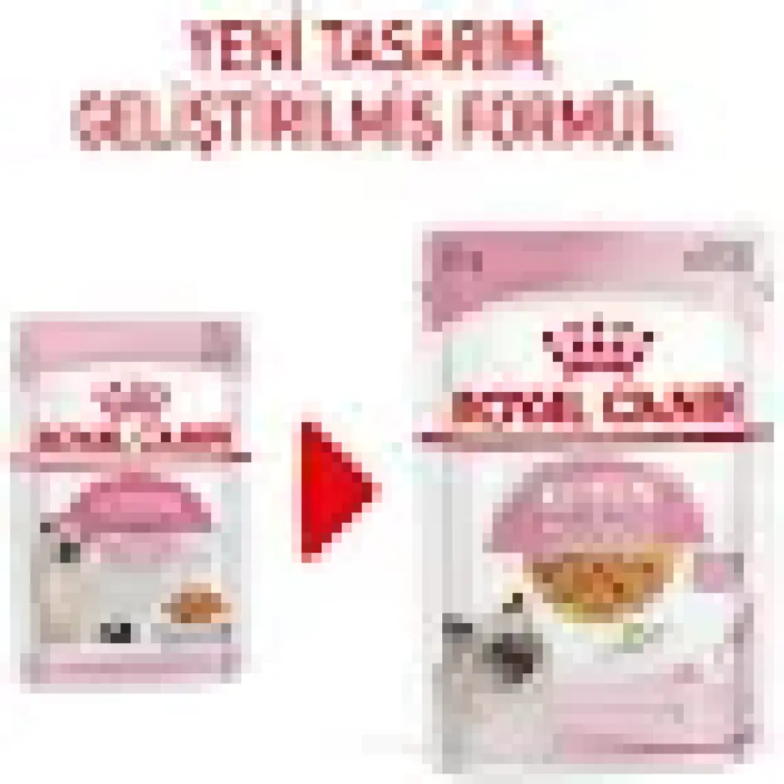 Royal Canin Jelly Kitten Instinctive Yaş Yavru Kedi Maması 85 Gr  x 12
