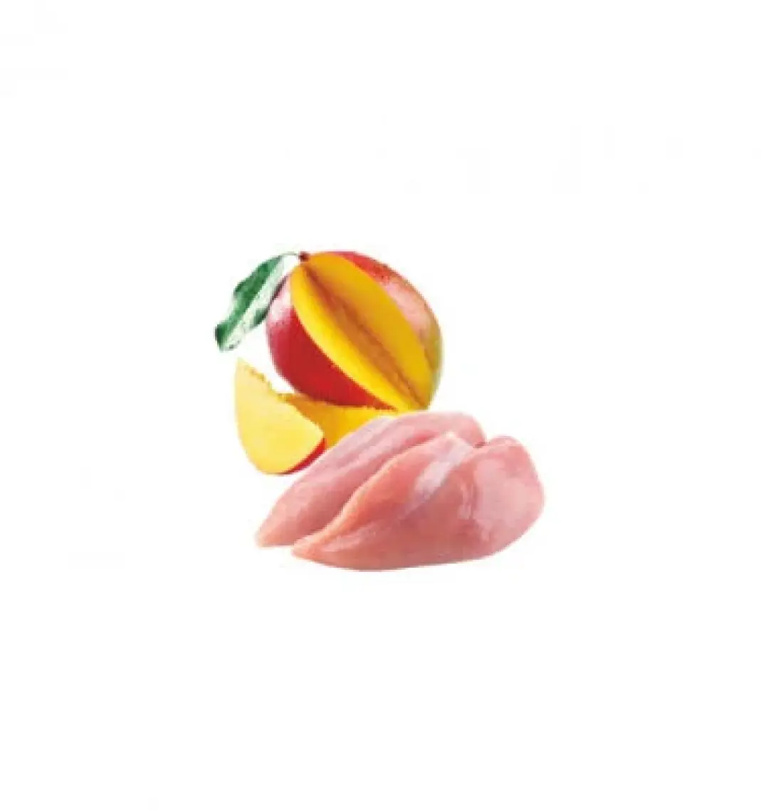 Natura Pet Yavru Kediler İçin Tavuk ve Mango Mix 70 gr