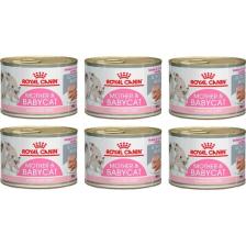 Royal Canin Mother&babycat Kedi Konservesi 195 gr (6 Adet)