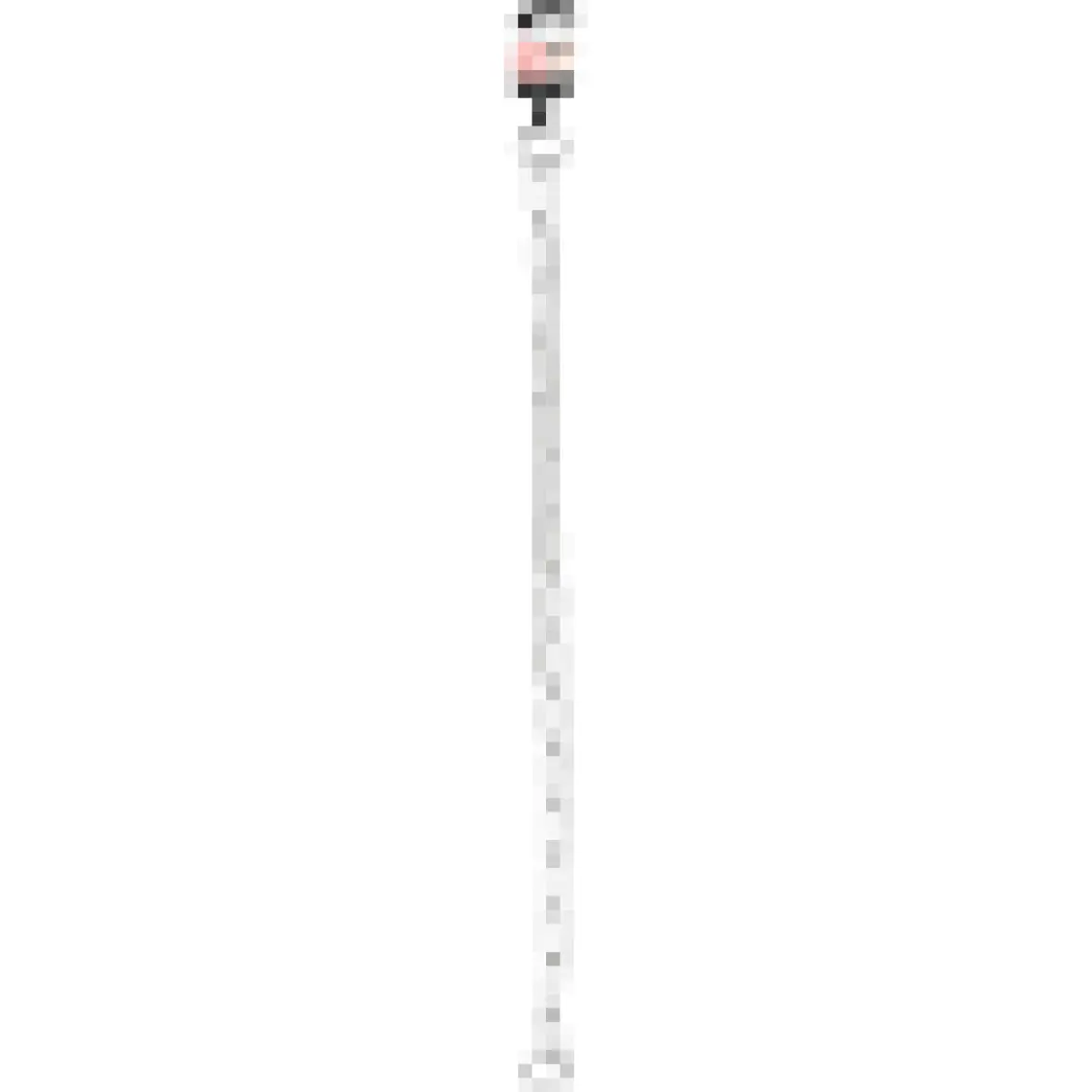 Karlıe Eğitim Tasması 55Cm/2,5Mm