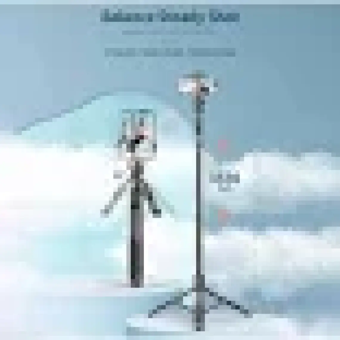 Torima L16 Çok Amaçlı Tripod Selfie Kumandalı 153 cm Anroid Ios Go Pro Uyumlu