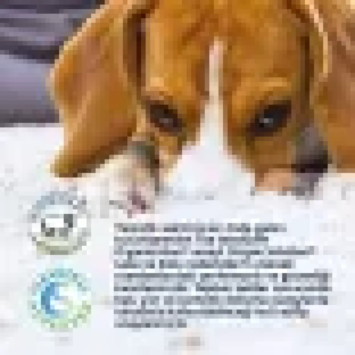 Simple Solution Köpekler İçin Leke Ve Koku  4 Lt