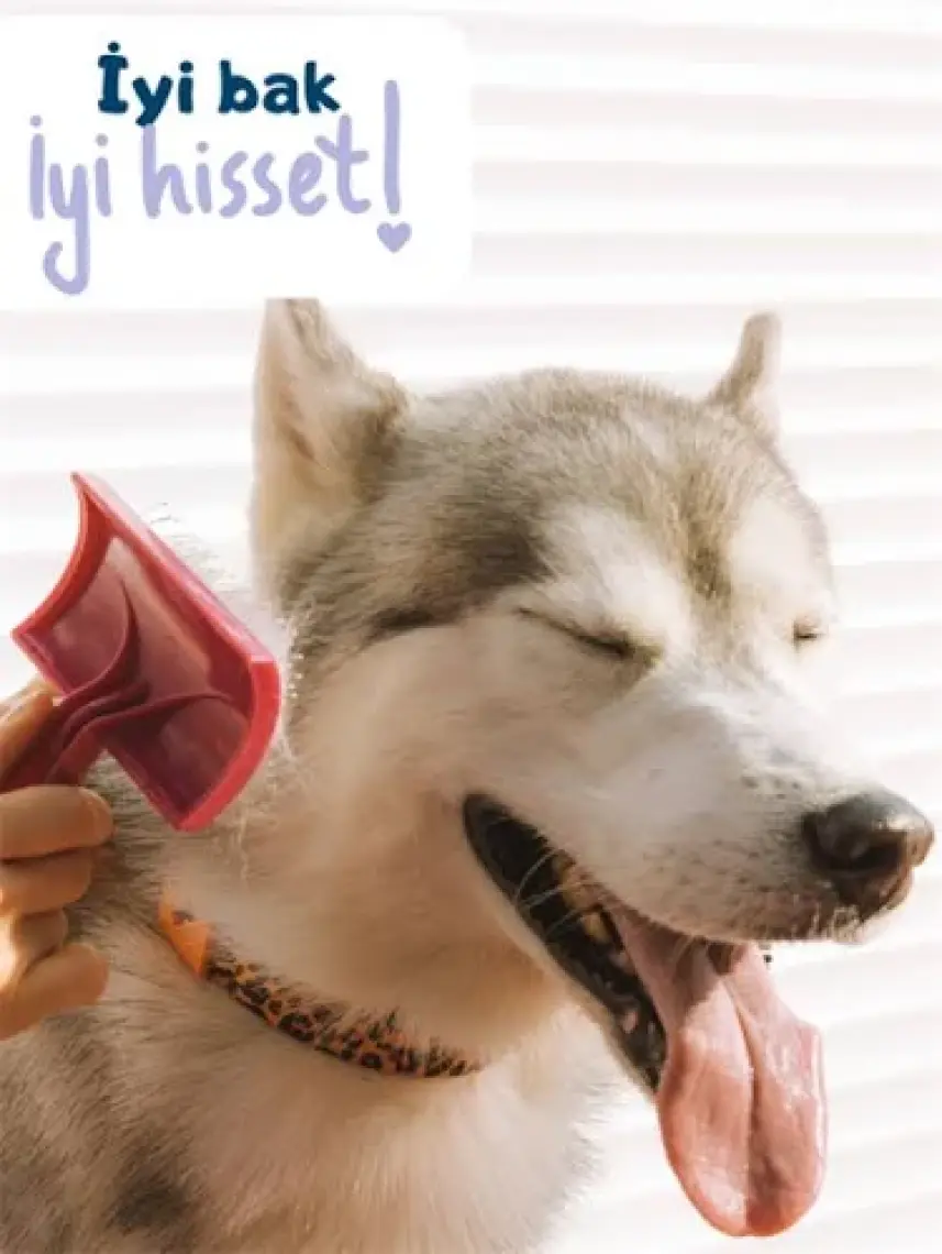 Zozo Cares Tüy & Deri Bakım Spreyi Köpeklere Özel