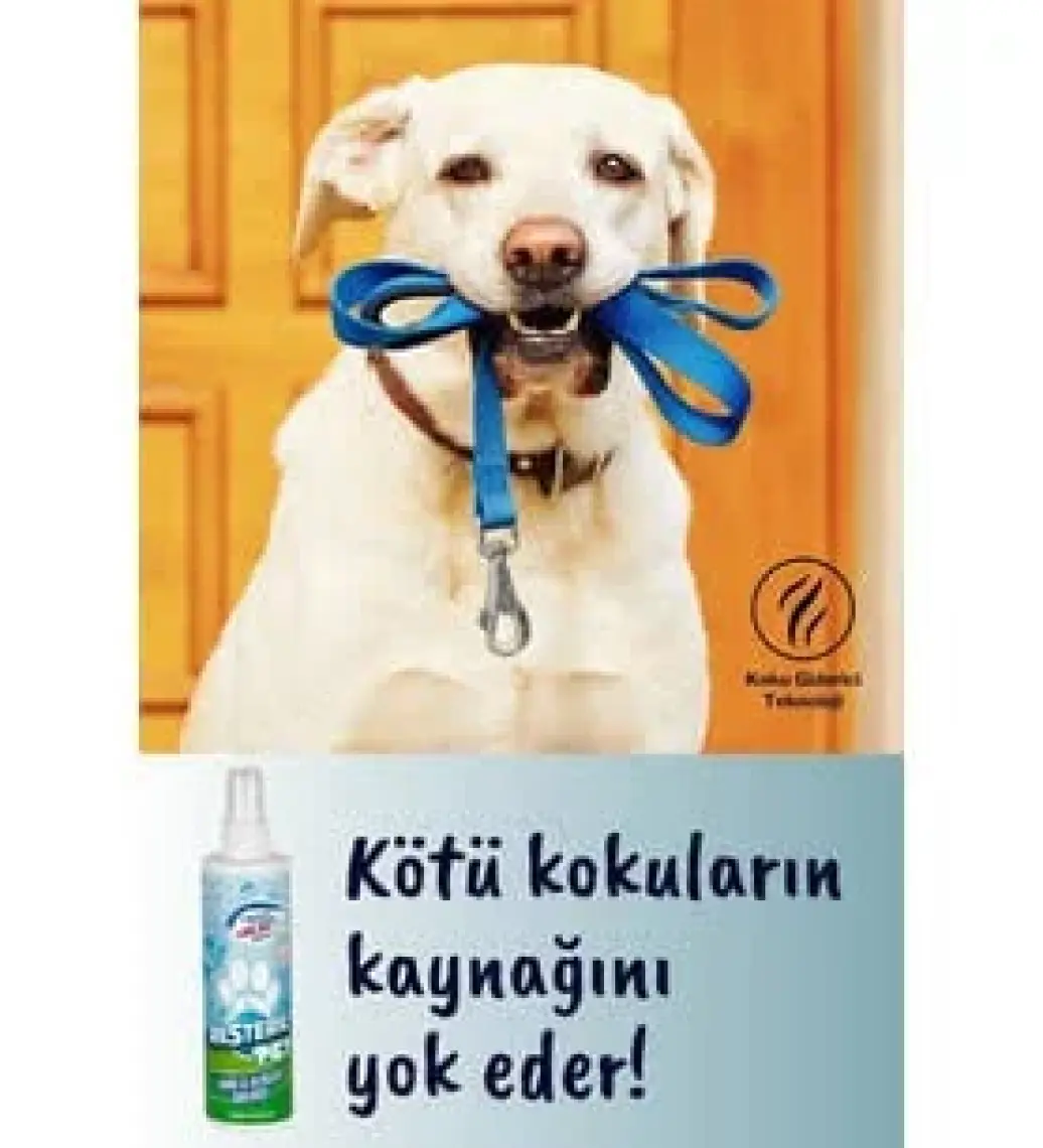 Resteril Hiyen Spreyi Pet 4'Lü Set Kedi Tuvaleti Koku Köpek Oyuncak Temizleyici Dezenfektan