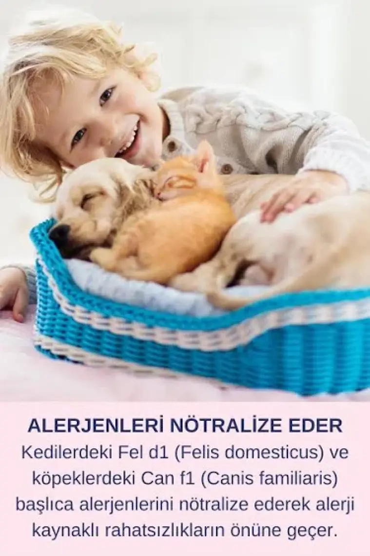 Resteril Hiyen Spreyi Pet 4'Lü Set Kedi Tuvaleti Koku Köpek Oyuncak Temizleyici Dezenfektan