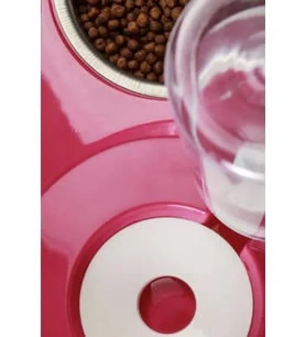 Miapet Hazneli Çelik Taslı Kedi-Köpek Mama ve Su Kabı Seti 500 ml Turuncu