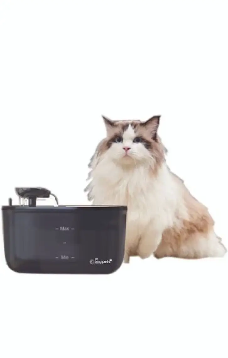Kiwi Kiwipets Otomatik Kedi Köpek Su Pınarı Su Çeşmesi Ultra Sessiz Su Şelalesi KPF-10555