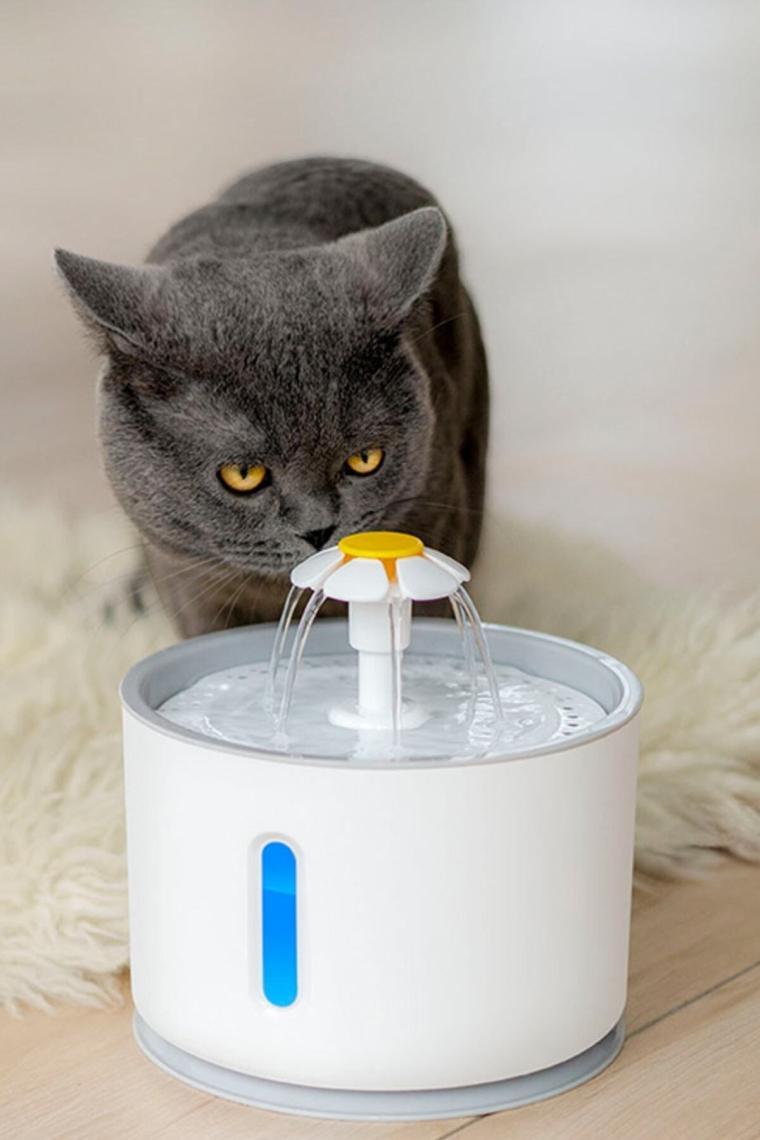 Kamardey Pet Kedi Köpek Için Otomatik Su Pınarı Su Çeşmesi Su Sebili 2.4 Lt USB ile Çalışır