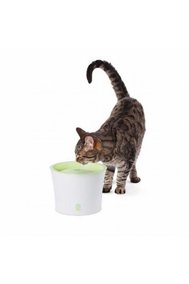 Otomatik Kedi Suluğu 3 lt