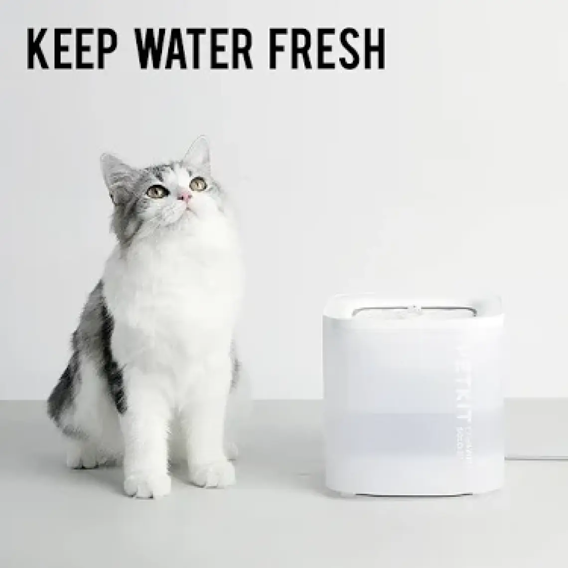 Petkit Eversweet Solo Se Su Pınarı (Resmi Distribütör Garantili)
