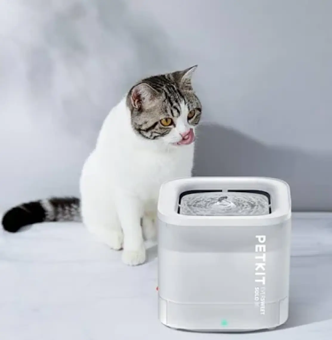 Petkit Eversweet Solo Se Su Pınarı (Resmi Distribütör Garantili)