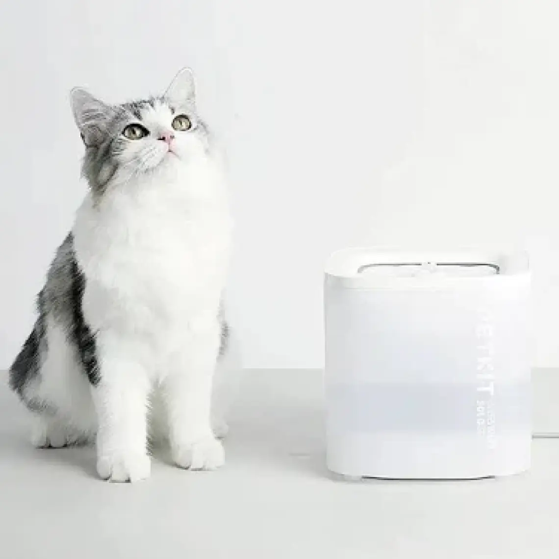 Petkit Eversweet Solo Se Su Pınarı (Resmi Distribütör Garantili)