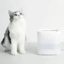 Petkit Eversweet Solo Se Su Pınarı (Resmi Distribütör Garantili)