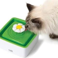 Cat İt Mini Flower Fountain 1,5 Lt