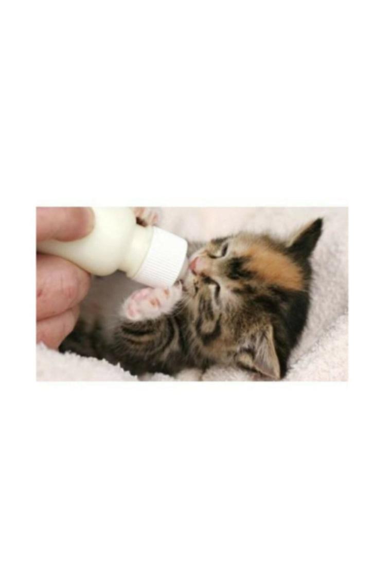 Anne Sütü Destekli Yavru Kedi Süt Tozu 200 gr Skt:06/2024