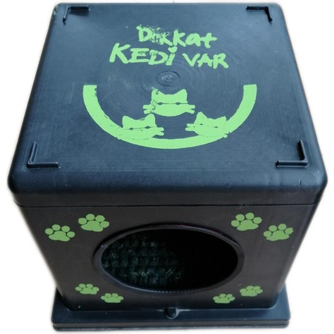 Kartepe Kedi Evidış Ortam