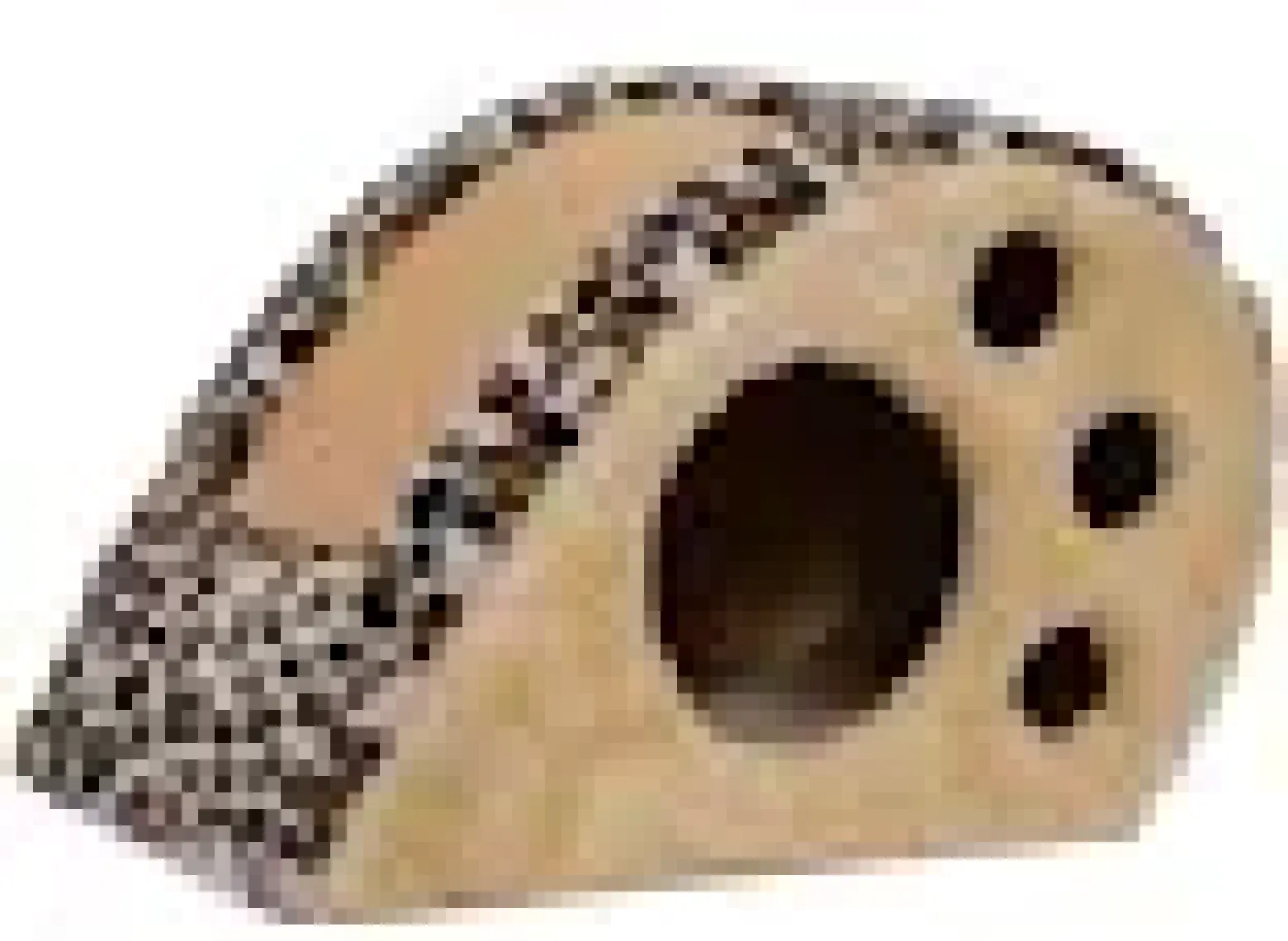 Cat Hause Kedi Tırmalama Platformu Salyangoz Leopar 32 cm