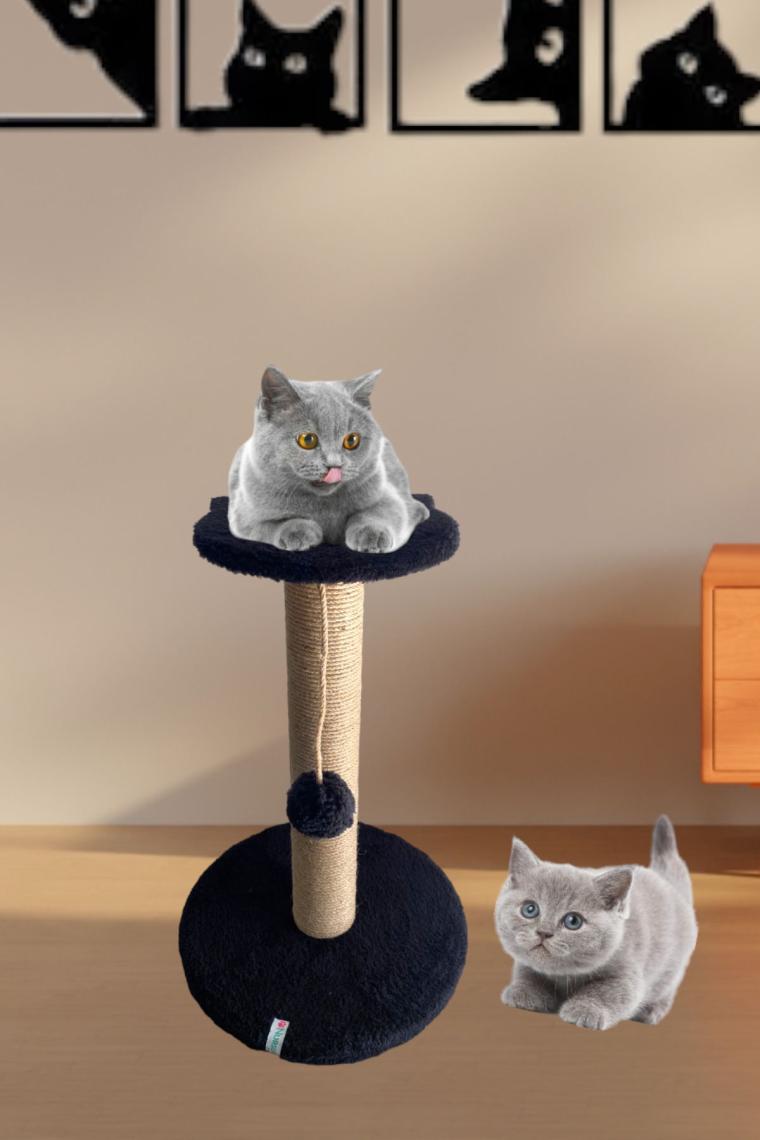 Nursoft Stepli Kedi Tırmalama Tahtası