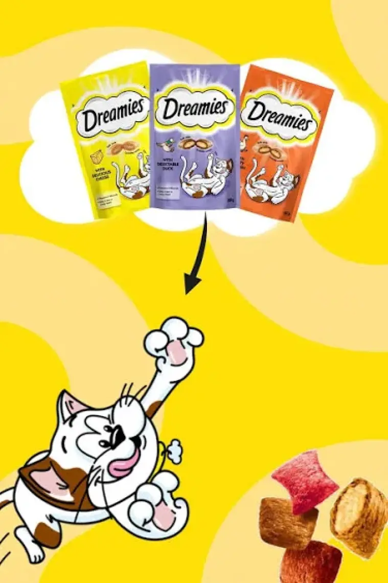 Dreamies Dreamies   Somonlu Peynirli 60 gr 6x