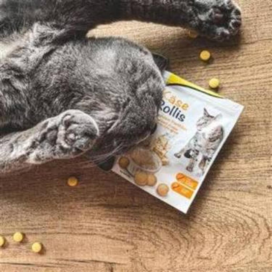 Gimpet Kedi Cheezies Peynirli Ödül Tableti 50 gr