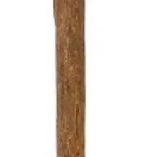 Eastland Matatabi Catnip Toplu Kedi Lolipop 9.5 cm