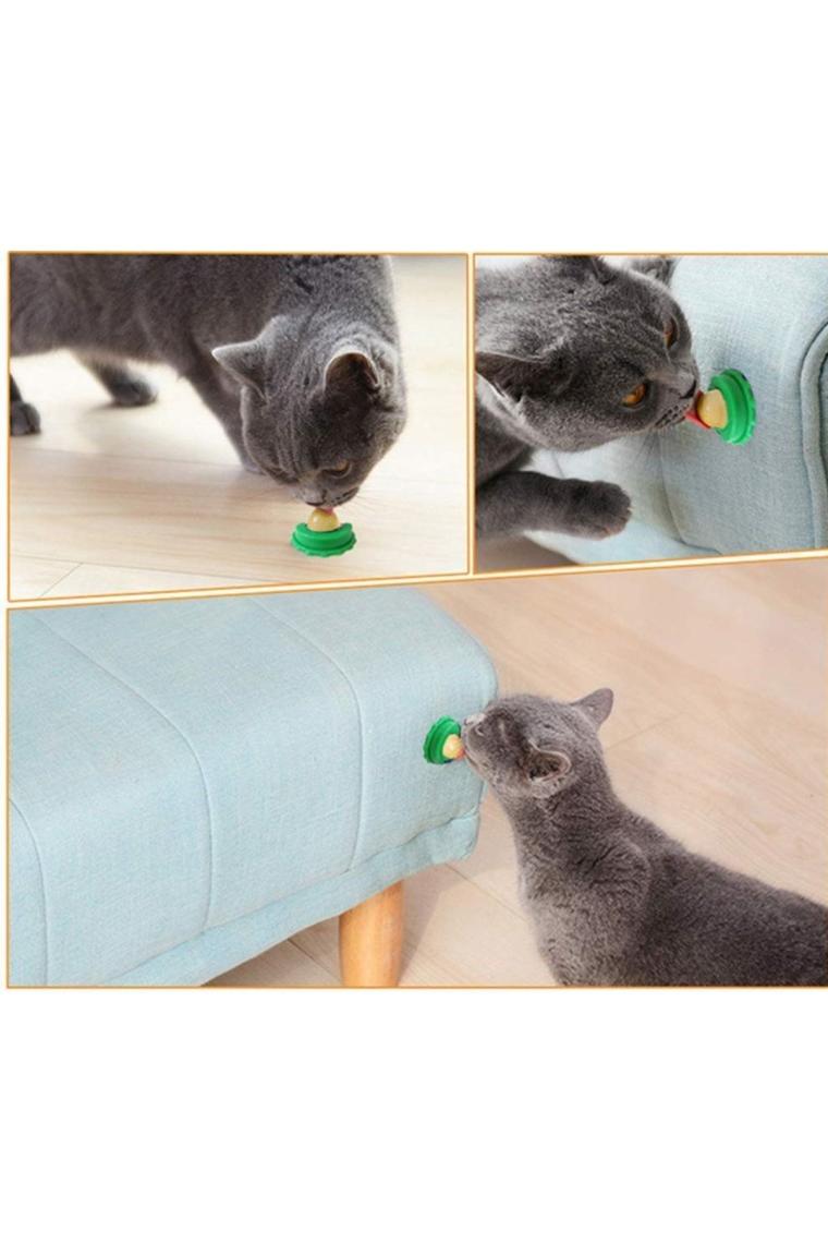 Catnipli Şeker Kedi Yalama Enerji Topu Tavuklu