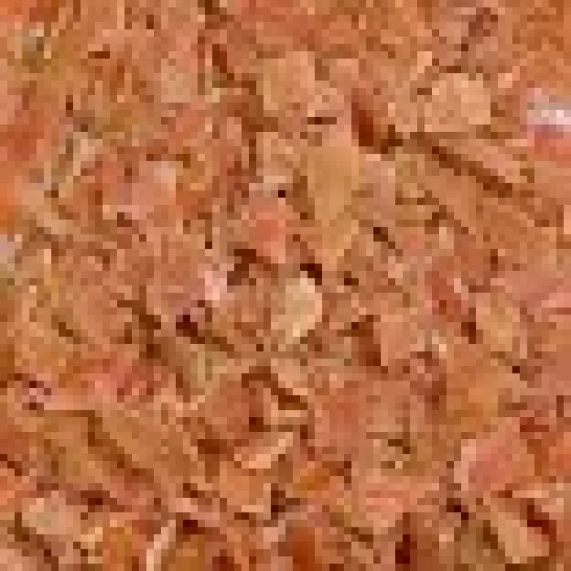 Flamingo Tavuklu Naturel Kedi Ödül Maması 85 Gr