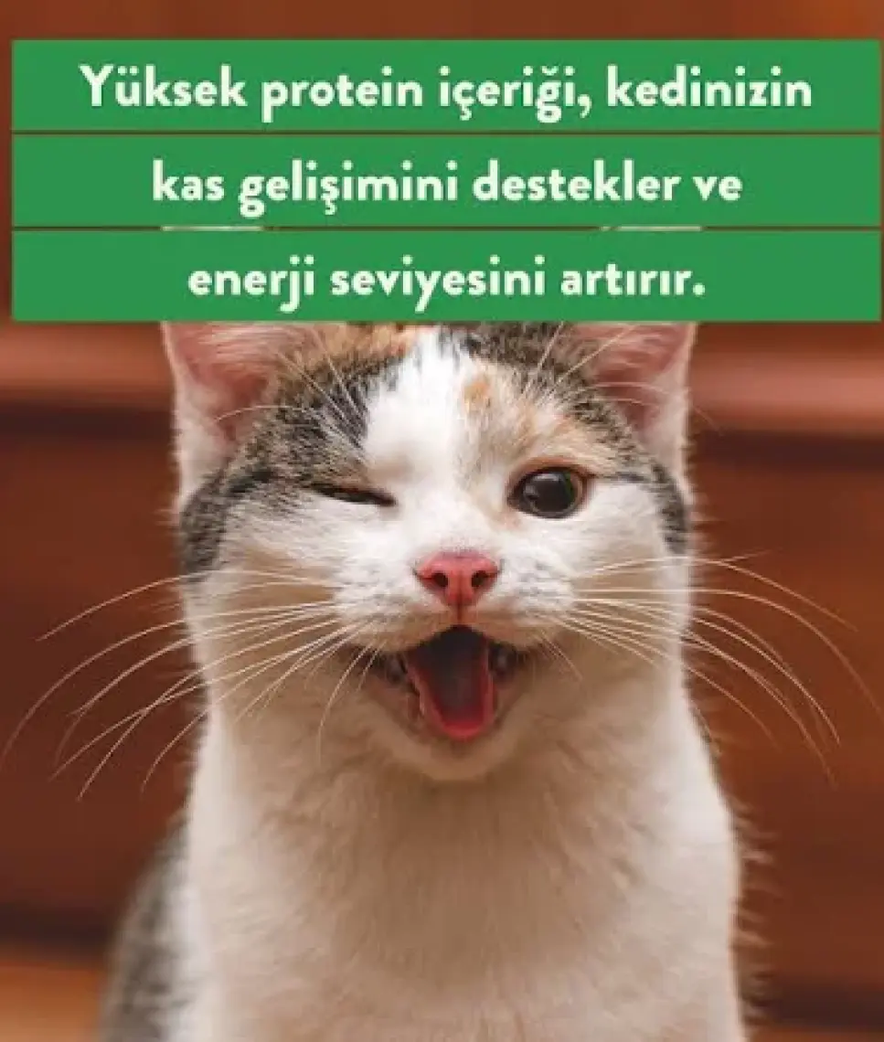 Kito Freeze Dried Tavuk Yürek Kedi Ödül Maması %100 Doğal, Glutensiz 30 gr(Cat Treat)
