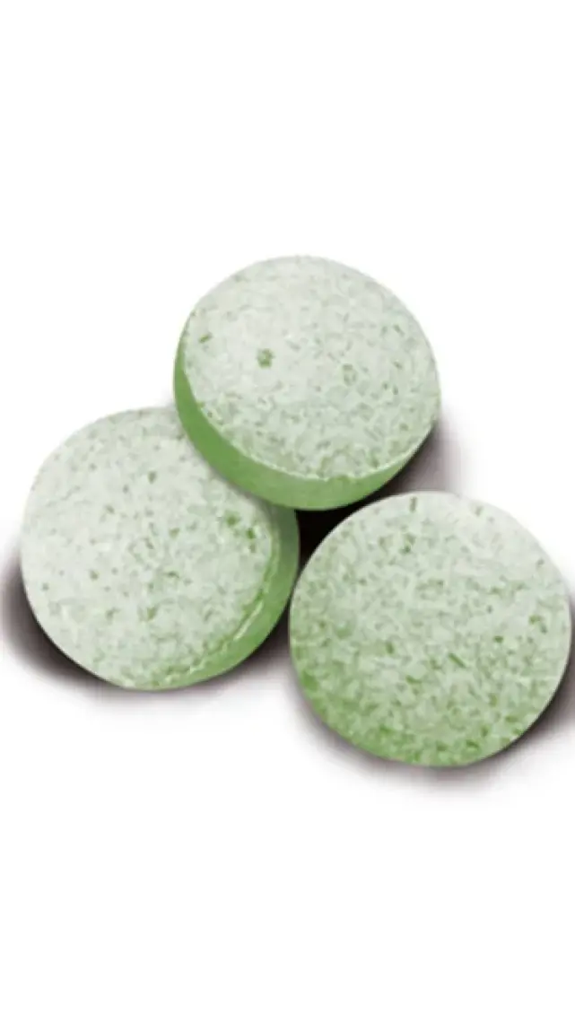 Gimcat Mint Tips Ödül Tableti 40GR
