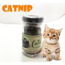 Eseytek Catnip Doğal Kedi Otu - Kedi Nanesi