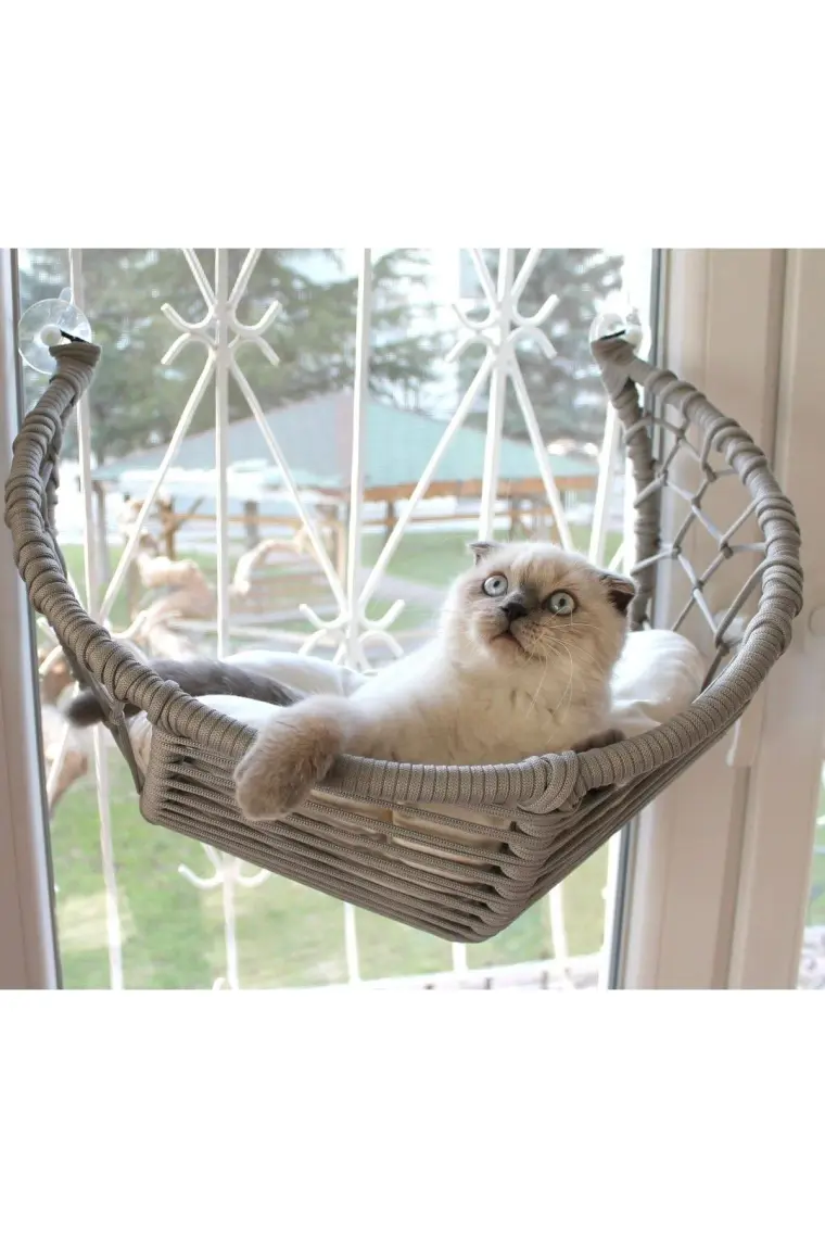Lüxperi Kedi Cam Yatağı & Cam Askılı Vantuzlu Kedi Yatağı