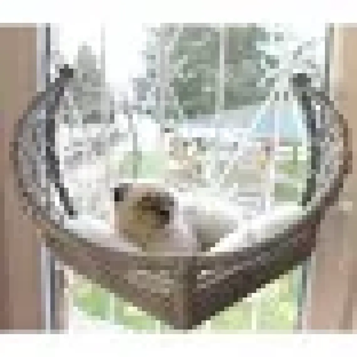 Lüxperi Kedi Cam Yatağı & Cam Askılı Vantuzlu Kedi Yatağı