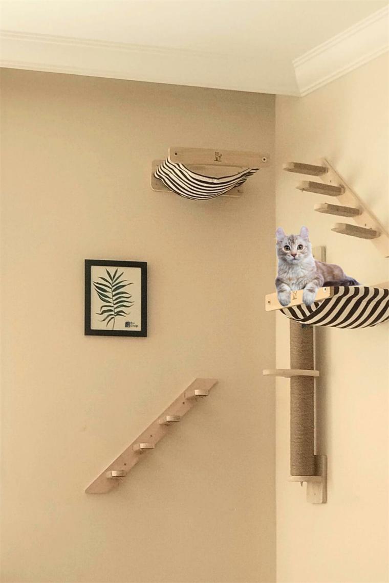 BuShop Kedi Parkuru, Kedi Evi, Kedi Yatağı, Kedi Duvar Evi, Kedi Duvar Rafı, Muhteşem 5 Parça Sağ Kedi Parkuru Set