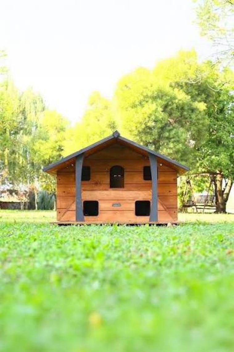 Mandu Ahşap Lüks Kedi Evi