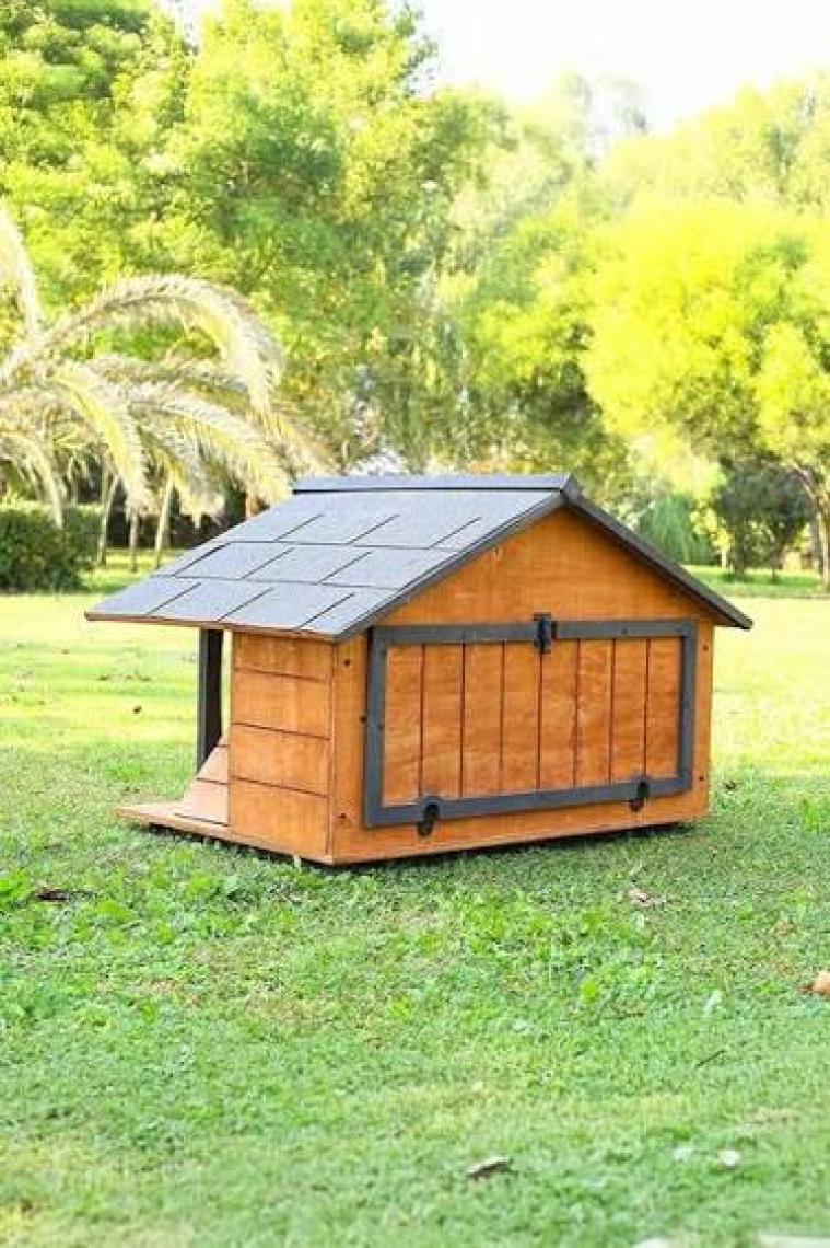Mandu Ahşap Lüks Kedi Evi
