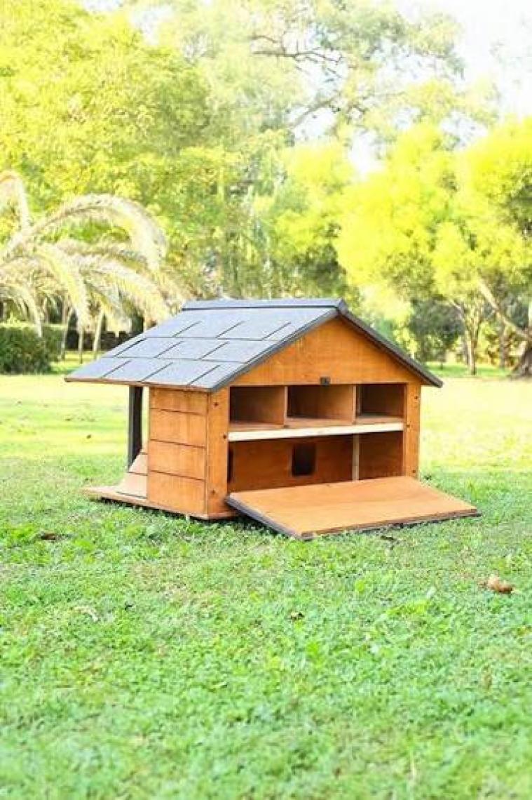 Mandu Ahşap Lüks Kedi Evi