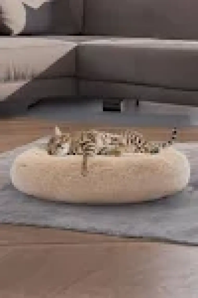 Pugalo Peluş Kedi ve Köpek Yatağı Krem Renkte, Ekonomik Kedi Yatağı