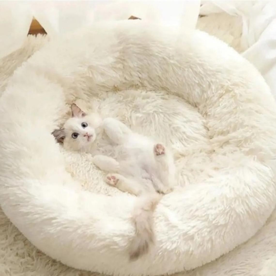 Xpermate Peluş Yumuşak Kedi Yatağı Köpek Yatağı Minder Tüysüz Beyaz