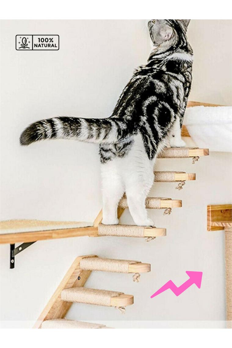Doğal Kedi Tırmanma ve Tırmalama Merdiveni Ahşap tasarım Duvara Monte 2Lİ Sol Modeli