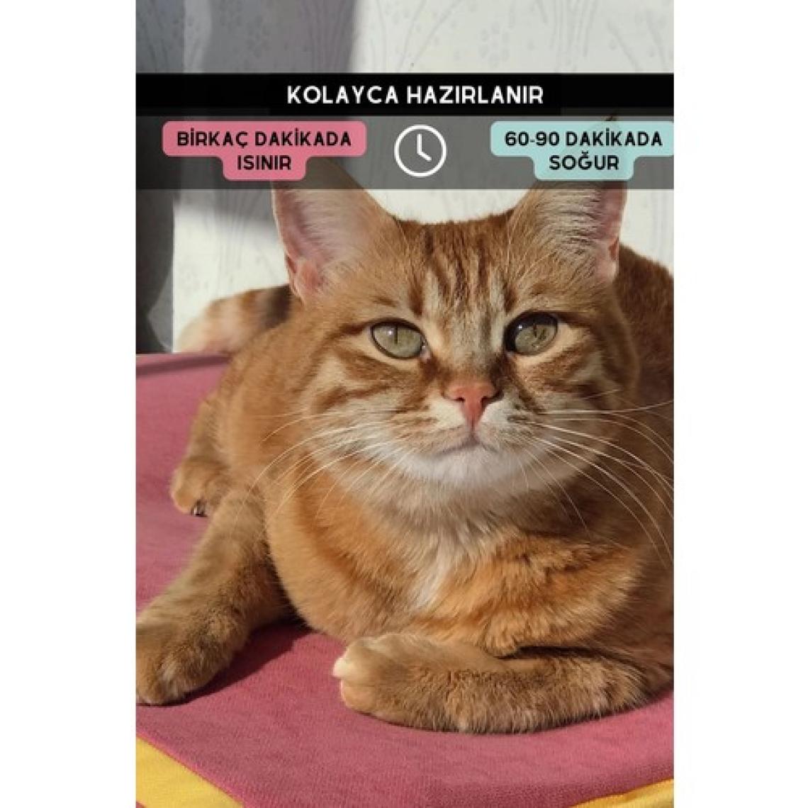 Pawdaz Serin (60X40CM) - 4 Mevsim Kedi/ Köpek Matı, Sıcak Veya Soğuk Kullanılabilen Minder Yatak