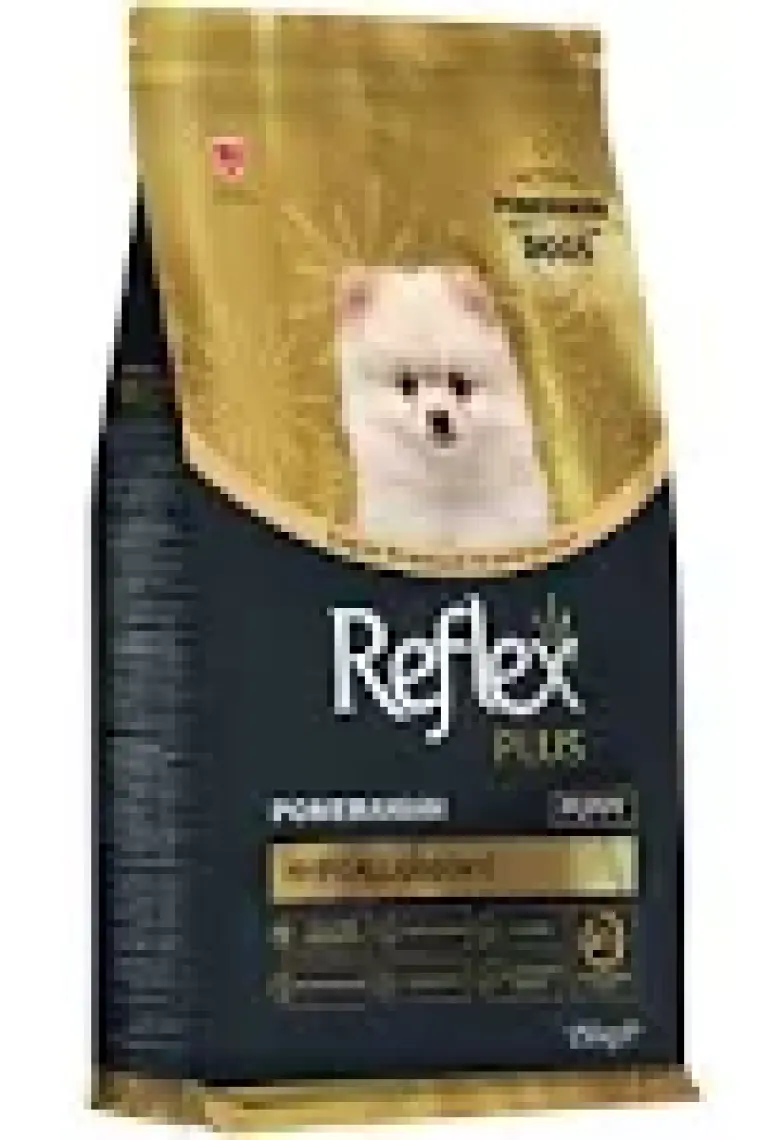 Plus Pomeranian Yavru Köpek Si 1.5 kg