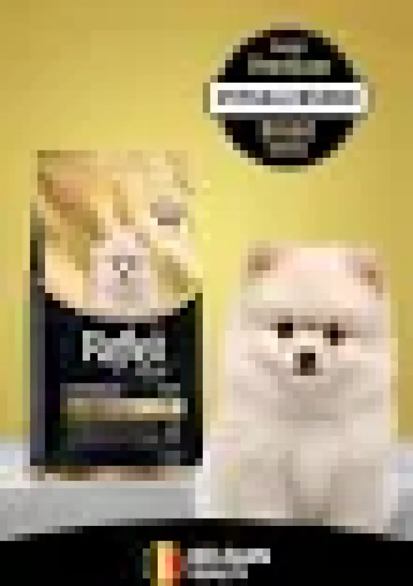 Plus Pomeranian Yavru Köpek Si 1.5 kg