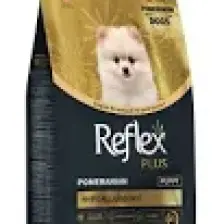 Plus Pomeranian Yavru Köpek Si 1.5 kg