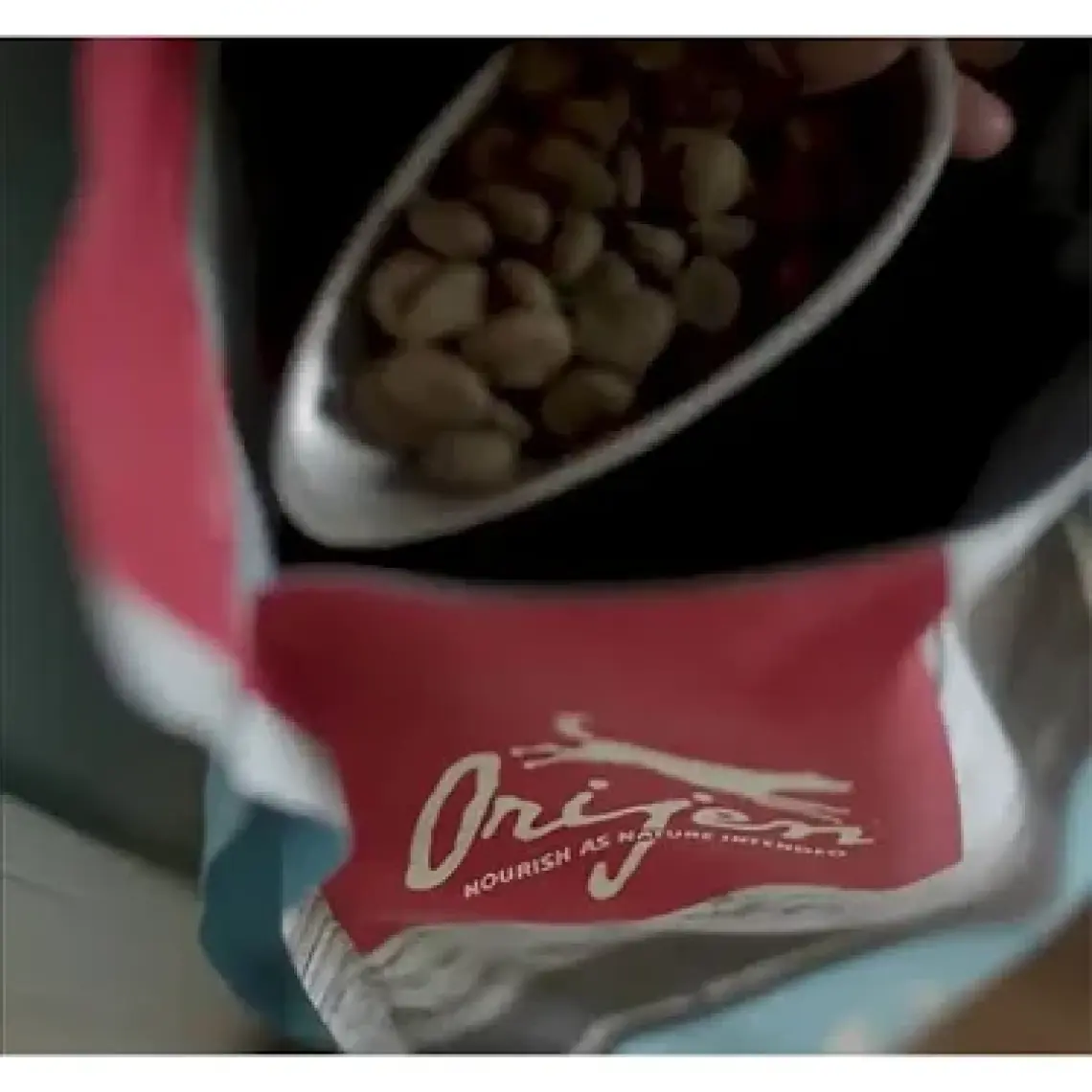 Orijen Original Tahılsız Yetişkin Köpek Maması 2 kg